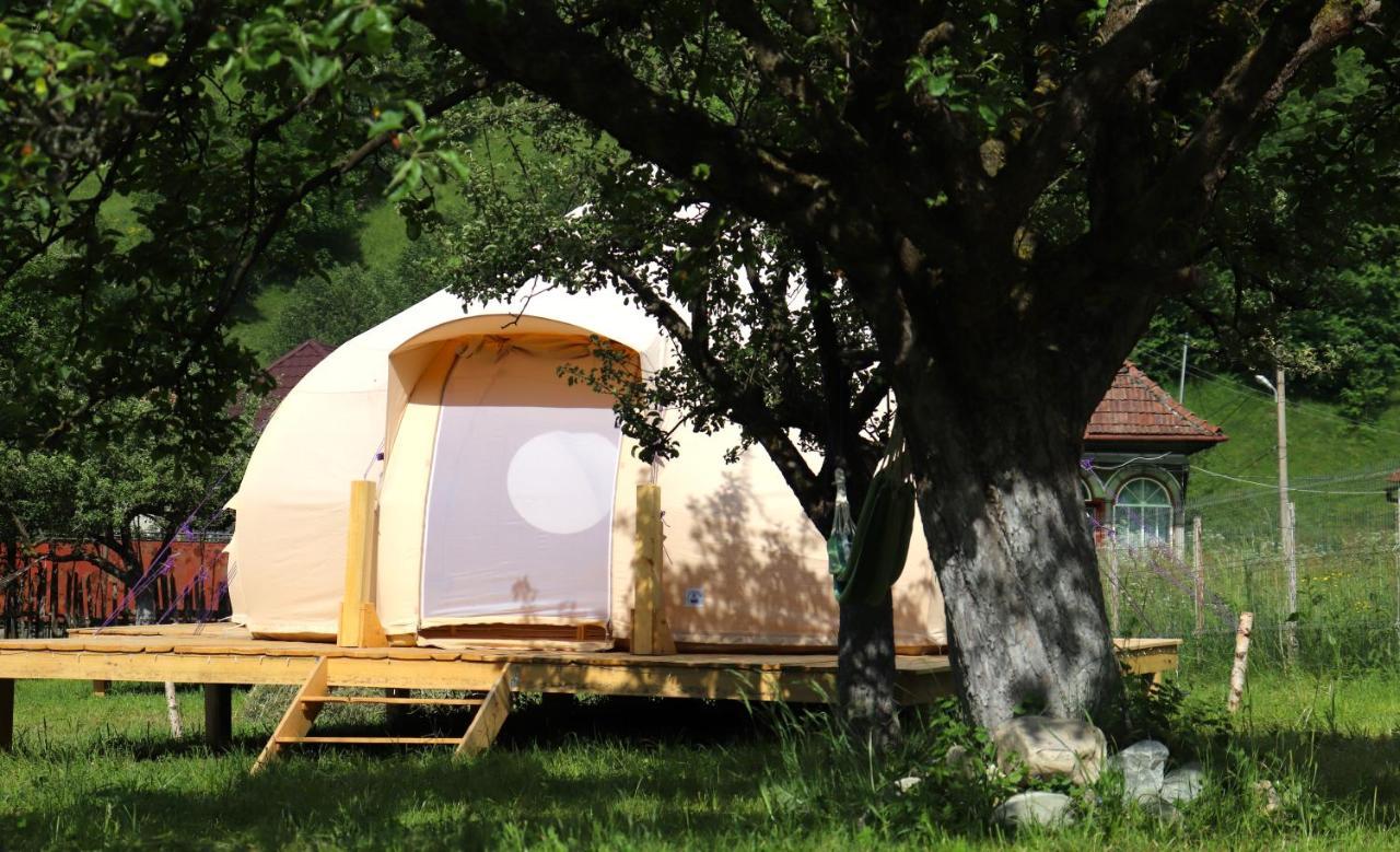בראן Flore'S Garden Glamping מראה חיצוני תמונה