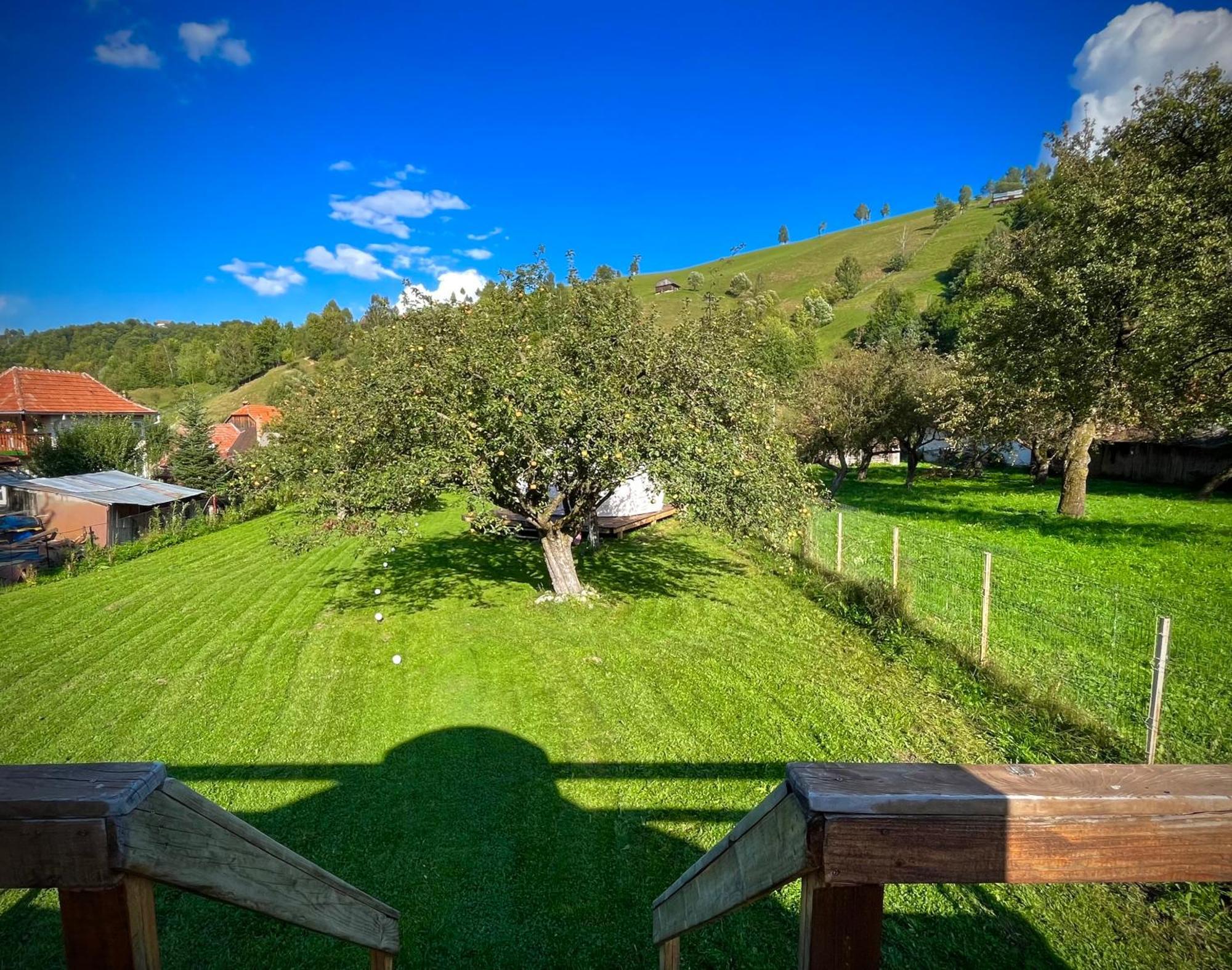 בראן Flore'S Garden Glamping מראה חיצוני תמונה